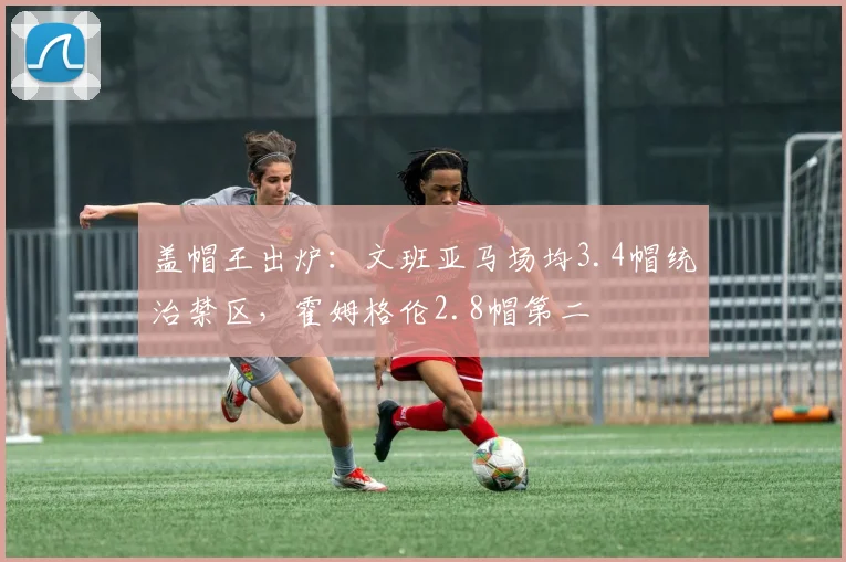 盖帽王出炉:文班亚马场均3.4帽统治禁区,霍姆格伦2.8帽第二