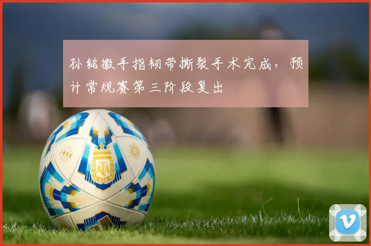 孙铭徽手指韧带撕裂手术完成，预计常规赛第三阶段复出